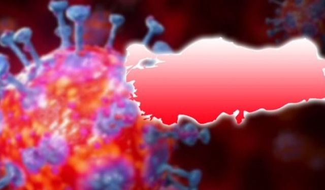 Bugünkü Koronavirüs Test Vaka ve Ölü Sayıları Açıklandı