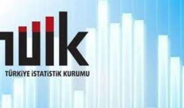 TÜİK işsizlik oranlarını açıkladı 