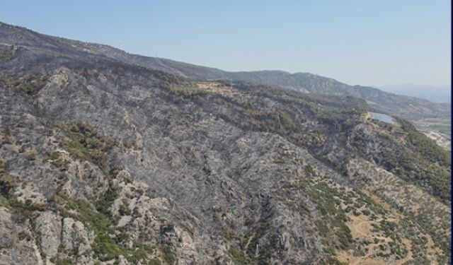 Yangın Bölgesi Aydın Söke'de sıcaklıklar 141 dereceye kadar yükseliş gösterdi 